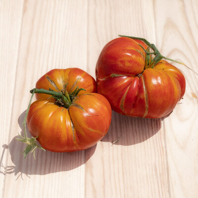 Tomate Ananas