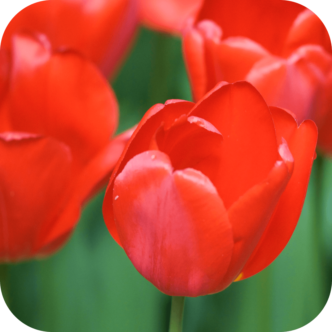 //mybleen.com/cdn/shopifycloud/shopify/assets/no-image-2048-5e88c1b20e087fb7bbe9a3771824e743c244f437e4f8ba93bbf7b11b53f7824c.gif