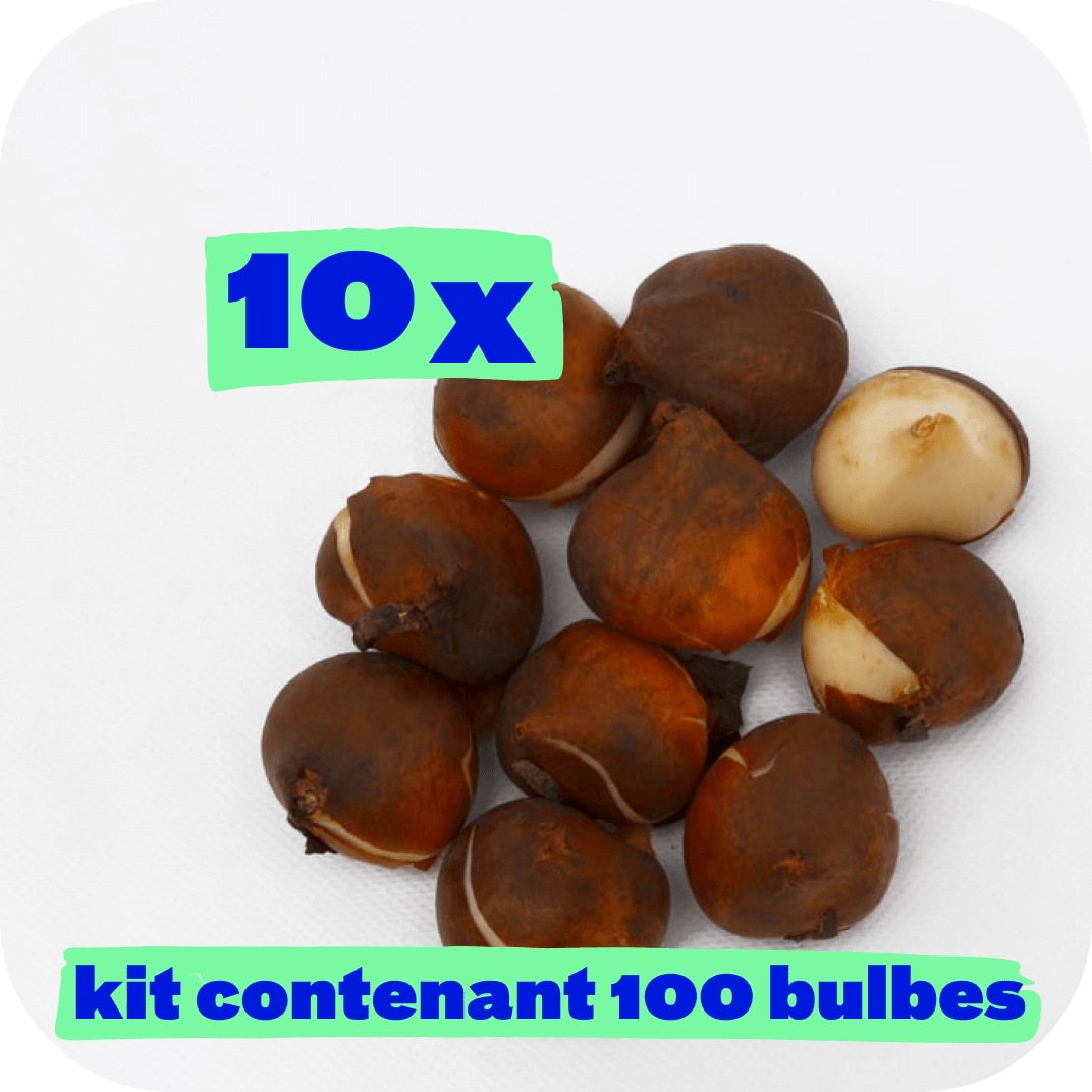 //mybleen.com/cdn/shopifycloud/shopify/assets/no-image-2048-5e88c1b20e087fb7bbe9a3771824e743c244f437e4f8ba93bbf7b11b53f7824c.gif