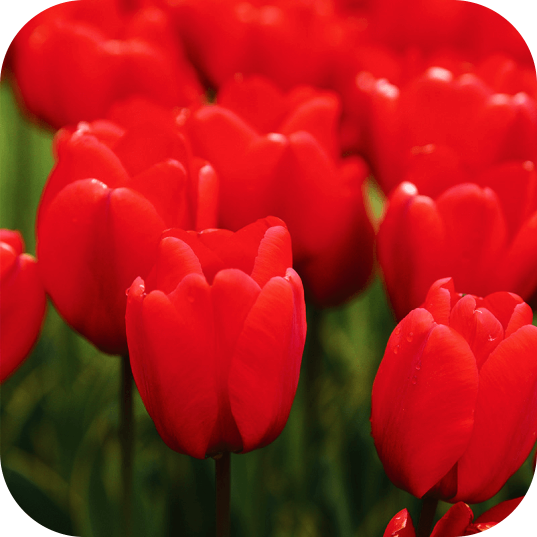 //mybleen.com/cdn/shopifycloud/shopify/assets/no-image-2048-5e88c1b20e087fb7bbe9a3771824e743c244f437e4f8ba93bbf7b11b53f7824c.gif