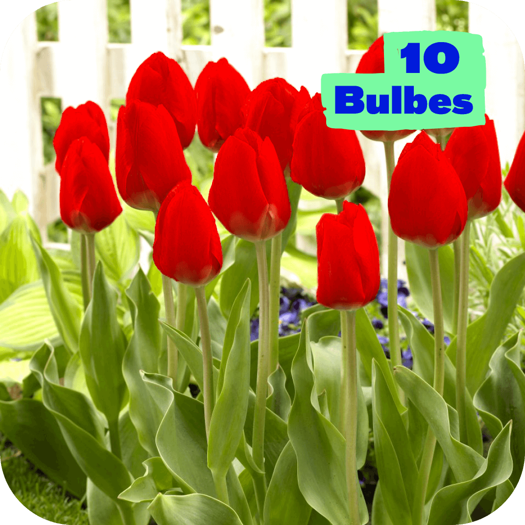 //mybleen.com/cdn/shopifycloud/shopify/assets/no-image-2048-5e88c1b20e087fb7bbe9a3771824e743c244f437e4f8ba93bbf7b11b53f7824c.gif