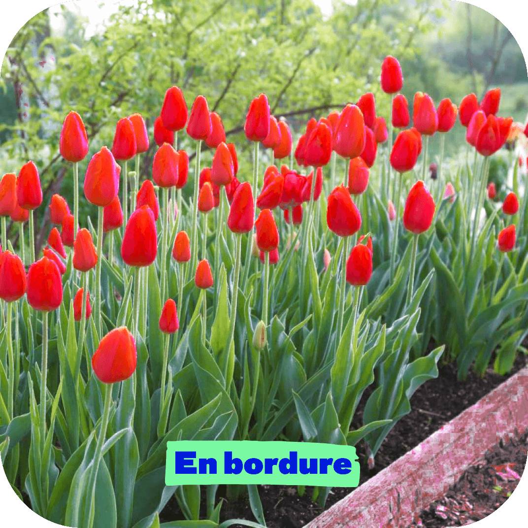 //mybleen.com/cdn/shopifycloud/shopify/assets/no-image-2048-5e88c1b20e087fb7bbe9a3771824e743c244f437e4f8ba93bbf7b11b53f7824c.gif