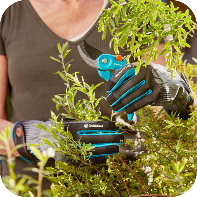 Les meilleurs gants de protection pour jardiner