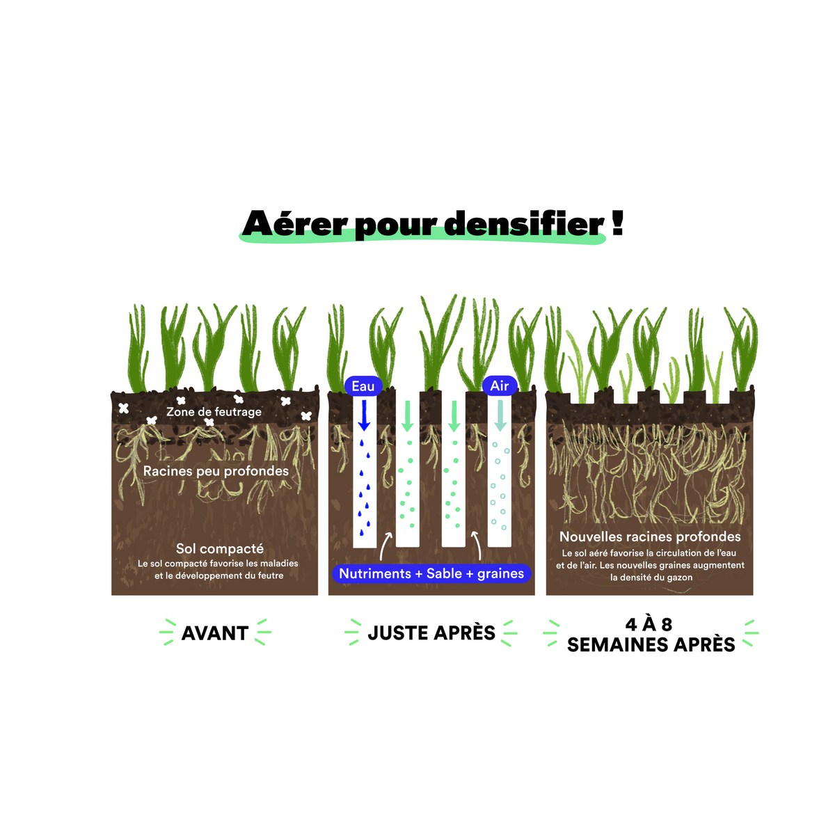 Aérateur, pour l'aération de la pelouse, une étape importante – Bleen