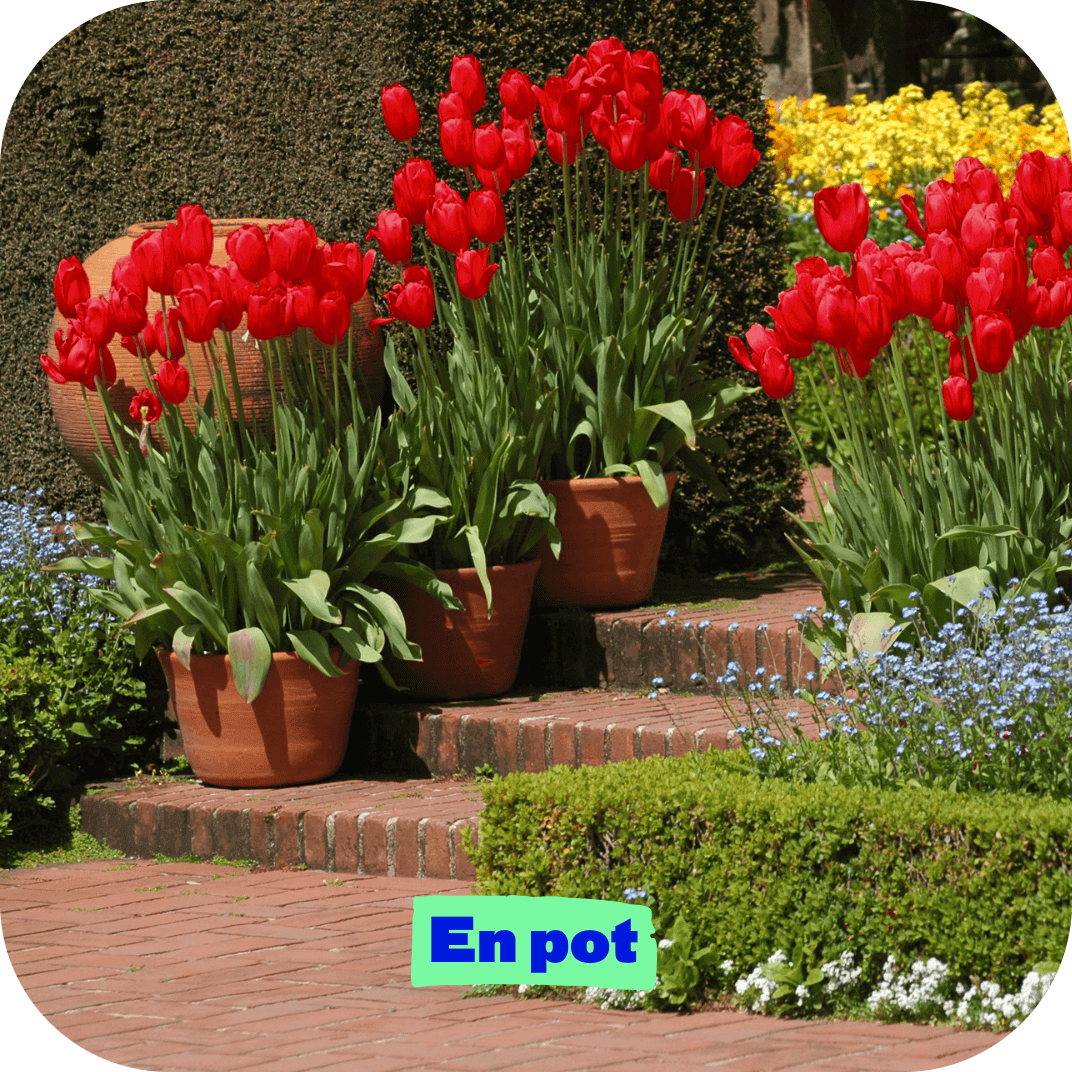 //mybleen.com/cdn/shopifycloud/shopify/assets/no-image-2048-5e88c1b20e087fb7bbe9a3771824e743c244f437e4f8ba93bbf7b11b53f7824c.gif