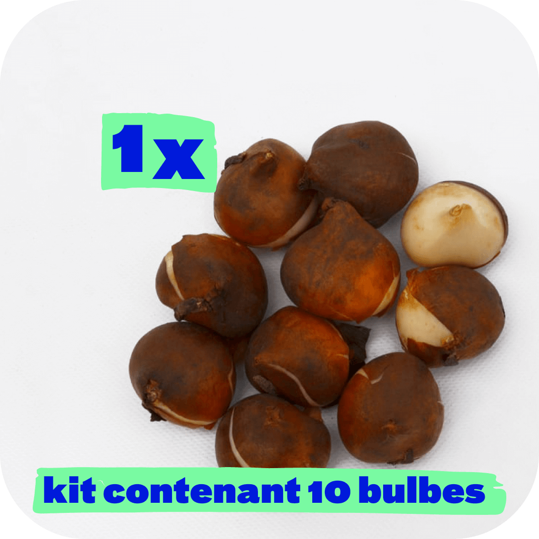 //mybleen.com/cdn/shopifycloud/shopify/assets/no-image-2048-5e88c1b20e087fb7bbe9a3771824e743c244f437e4f8ba93bbf7b11b53f7824c.gif