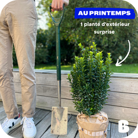 1 an d'abonnement cadeau